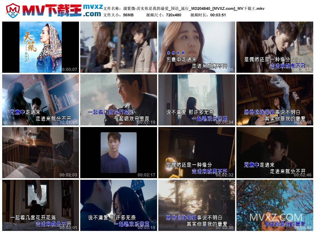 蒲紫微-其实你是我的最爱_国语_流行_MD204840